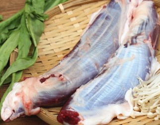 Phân biệt giữa bắp bò và bắp hoa bò khác nhau như thế nào?